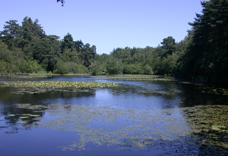 Eutrophic Lakes